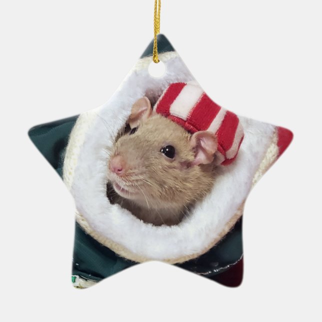 NEW!  Pet Rat Coco Ornament (Front)