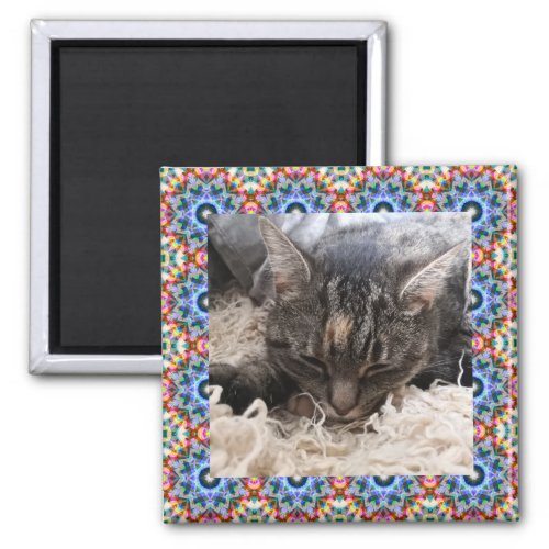 New Pet Red and Blue Christmas Star Square Frame Magnet