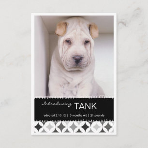 New Pet Retro Circles B&W Photo Announcement