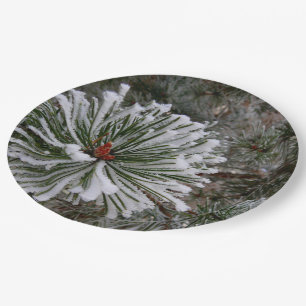 New Pine Cones Paper Plates
