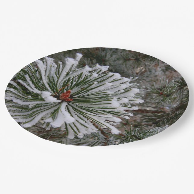 New Pine Cones Paper Plates (Angled)