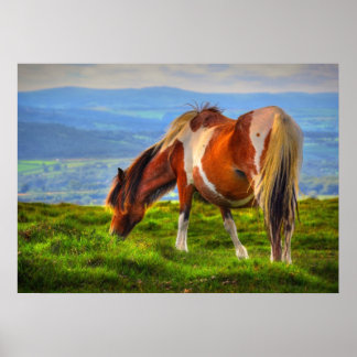New Pony Blood On Dartmoor Poster