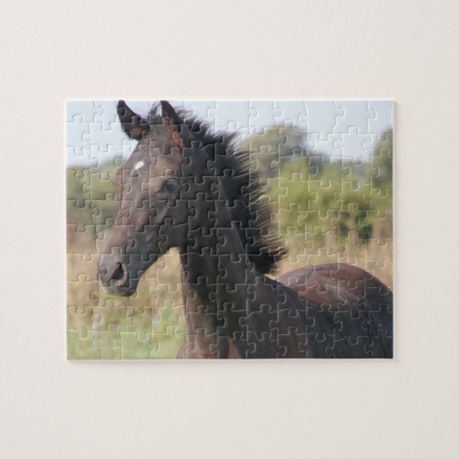 New Pony/Horse Jigsaw Puzzle (Horizontal)