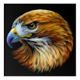 New POWERFUL Hawk Acrylic Print