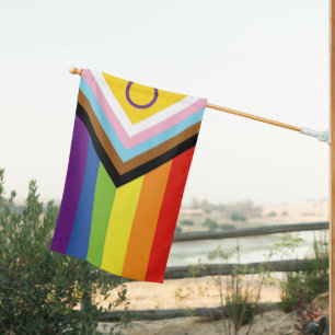 New Progress Pride Flag LGBTQIA Parade Celebration