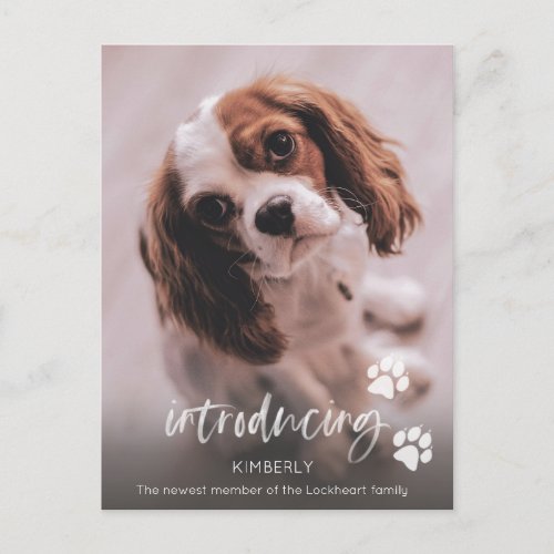 New Puppy Announcement Adult Dog Adoption Postcard