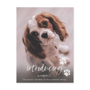 New Puppy Announcement, Adult Dog Adoption Postcard