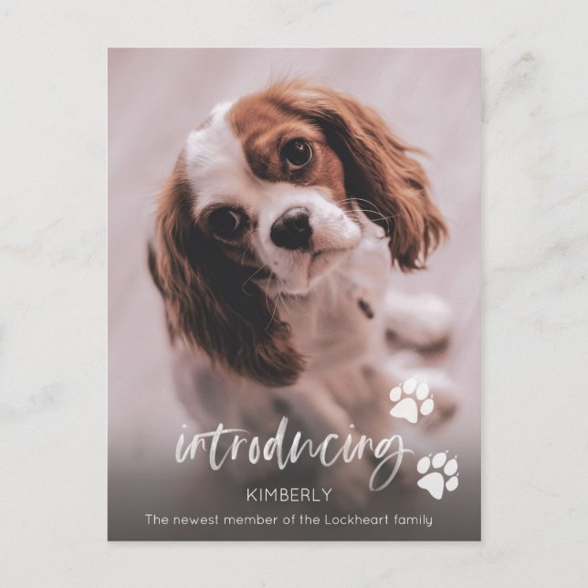 New Puppy Announcement, Adult Dog Adoption Postcard (Front)