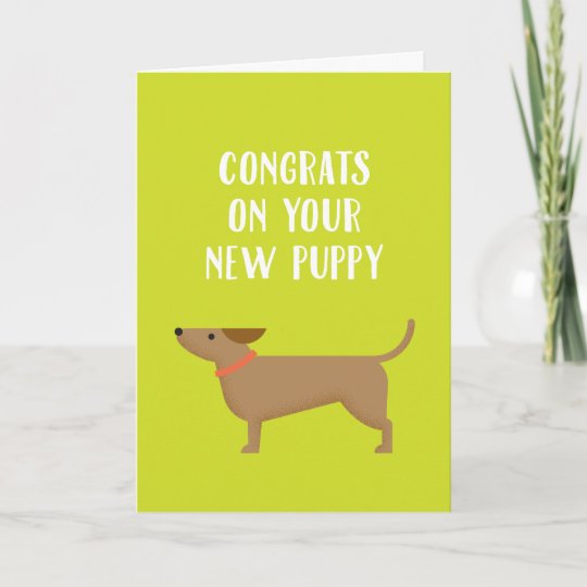 New Puppy Congrats Greeting Card | Zazzle.com