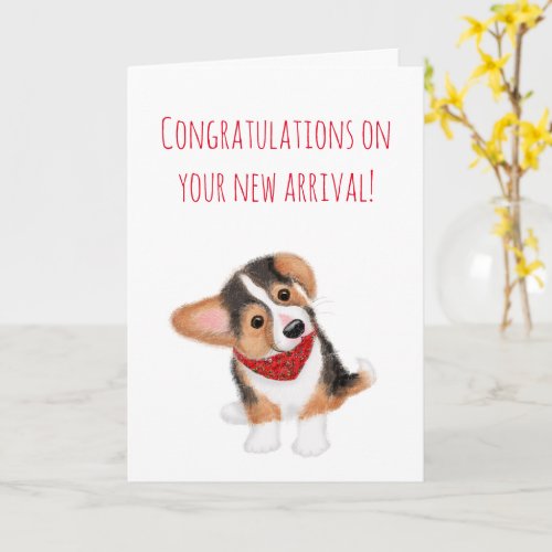 New puppy congratulations card for a couple