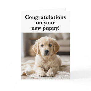 New Puppy Congratulations Funny  Card