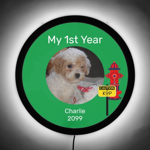 New Puppy First Year Funny Dog Photo LED Sign