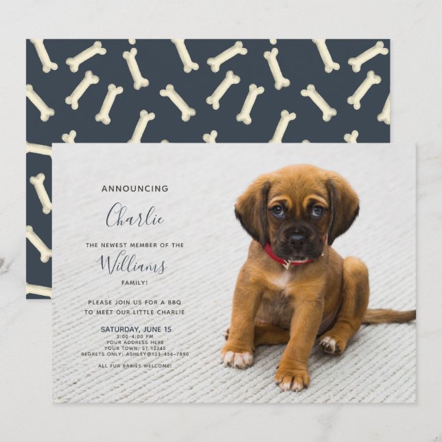 New Puppy Kitten Adoption Announcement Photo (Front/Back)