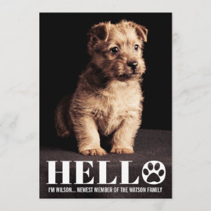 New Puppy Kitten Adoption Announcement Photo Card