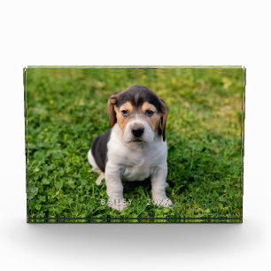 New Puppy Modern Acrylic Photo Block