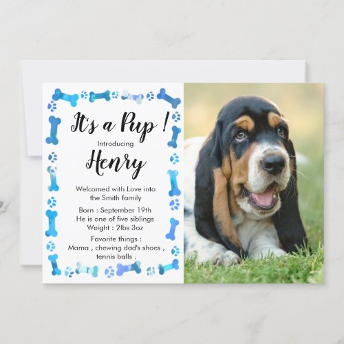 New Puppy_ New Pet _ Blue Boy Dog Birthday Puppy Announcement