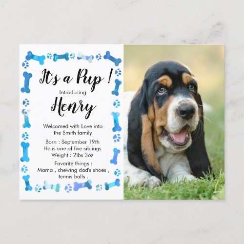 New Puppy _ New Pet _ Blue Boy Dog Birthday Puppy Announcement Postcard