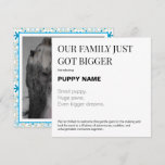 New Puppy Photo Announcement Card