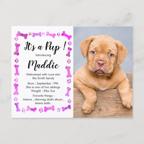 New Puppy _ Pink Girl New Pet _ Dog Birthday Puppy Announcement Postcard