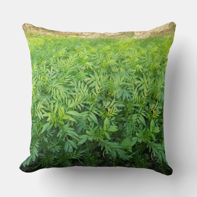 New purdect  throw pillow (Front)