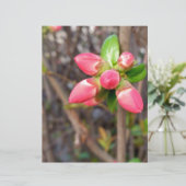 new red buds (Standing Front)