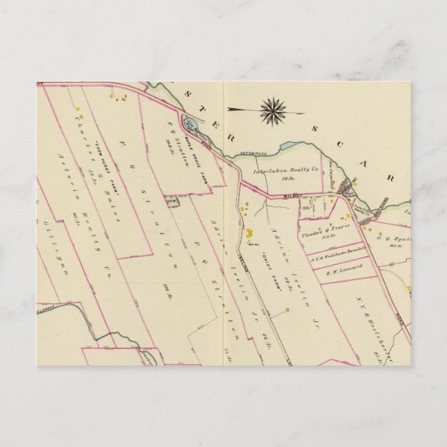 New Rochelle ward 3, New York Postcard (Front)