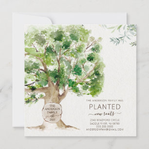 New Roots Oak Tree Moving Announcement