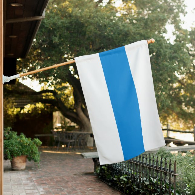 New Russian Anti-War Protest Flag 2022 White Blue (In SItu)