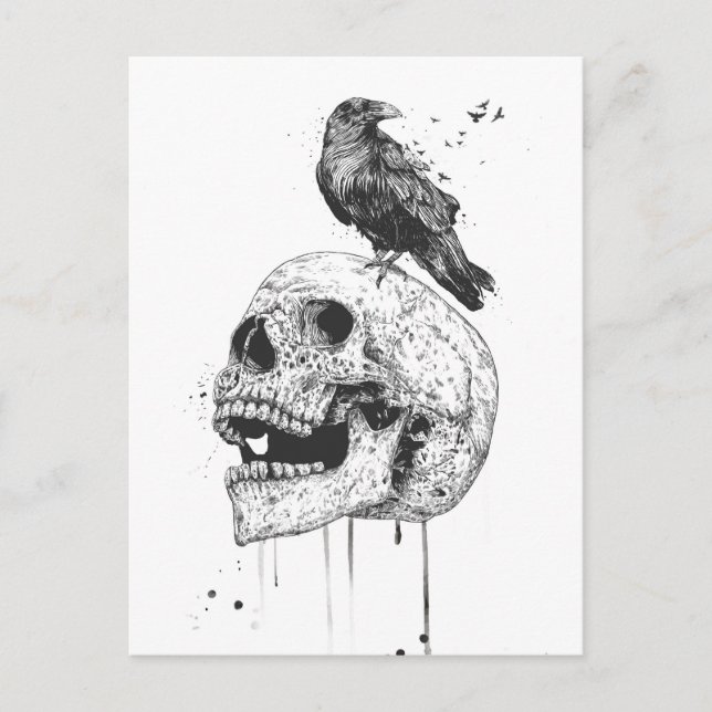 New skull (bw) postcard (Front)