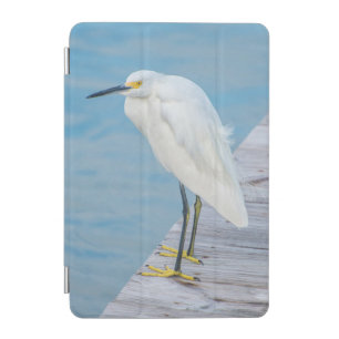 New Smyrna Beach, Snowy Egret on dock iPad Mini Cover