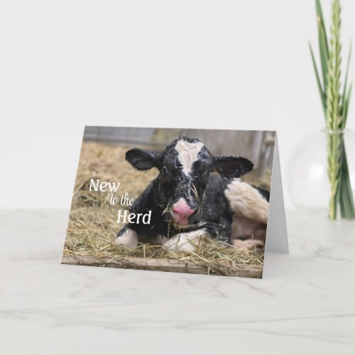 New to the Herd Baby Congratulations Card