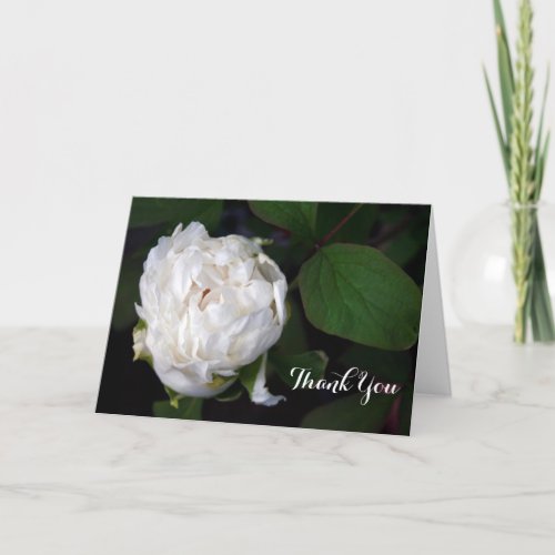 New White Peony Floral Photography Thank You Cards