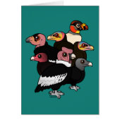 New World Vultures (Front)