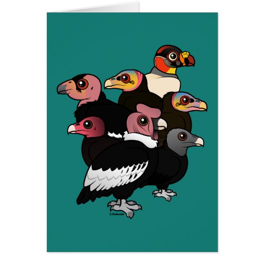 New World Vultures Cards (Front)