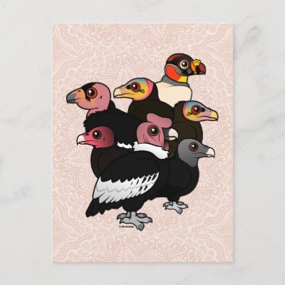 New World Vultures Postcard