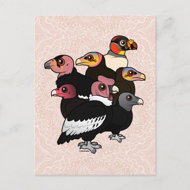 New World Vultures Postcard (Front)
