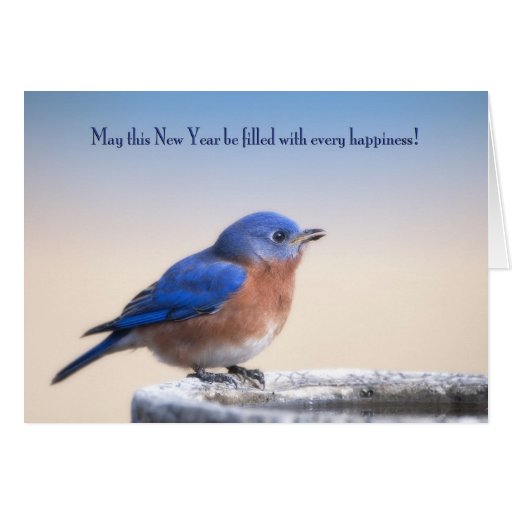 New Year Bluebird Card | Zazzle