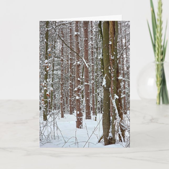 New Year Fresh Snowfall On Forest Trees Card (Front)