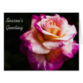 New Year Season Greeting Cards - Purple Rose (Front Horizontal)