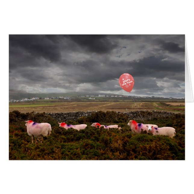 New Year sheep Cards (Front Horizontal)
