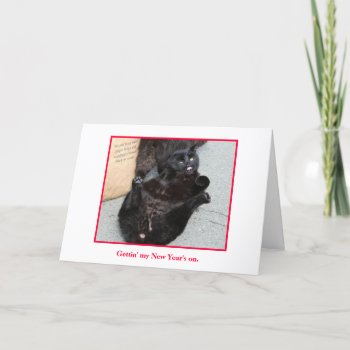 New Year's Card by TheyHadMeAtMeow at Zazzle