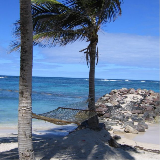 New Years Day Hammock Statuette (Front)