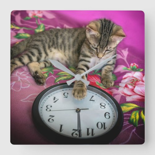 New Years Eve Clock Cat 12 Midnight Countdown
