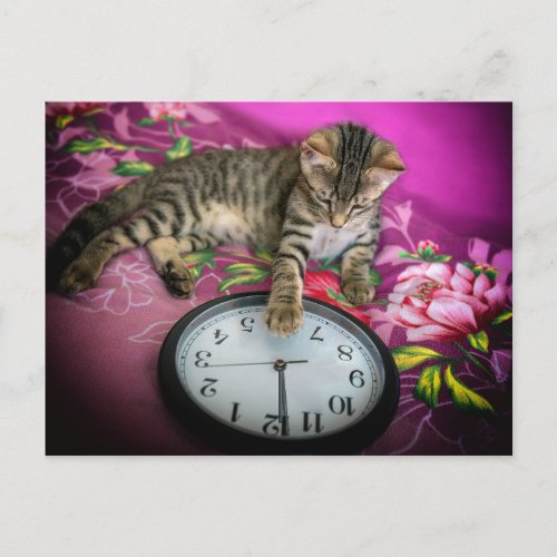 New Years Eve Clock Cat 12 Midnight Countdown Postcard