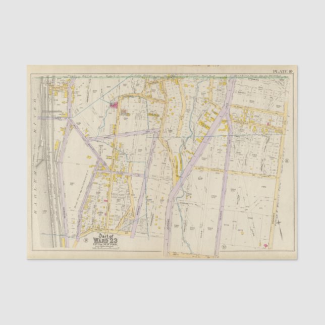 New York 10 Tissue Paper (Front)