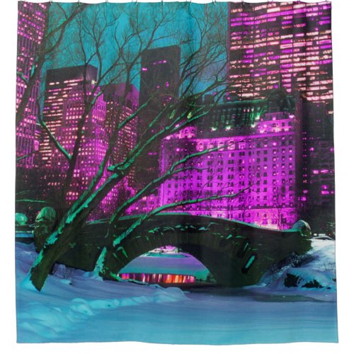 New_York City Central Park Winter Landscape Shower Curtain