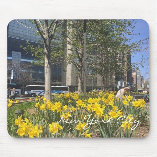 New York City Daffodils Columbus Circle NYC Spring Mouse Pad