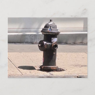 New York City Fire Hydrant Post Card