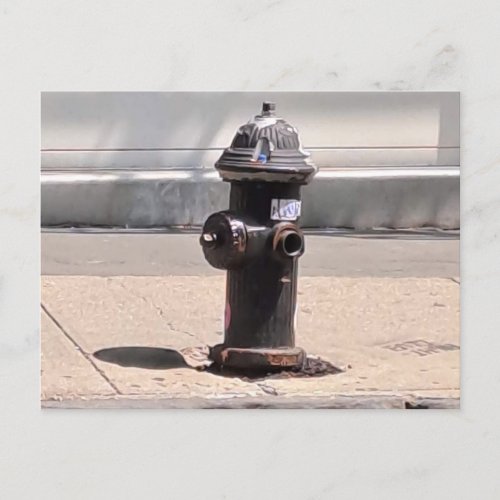 New York City Fire Hydrant Post Card