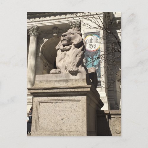 New York City NYC Public Library Lion Statue Postcard